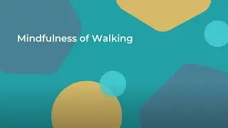 Guided Meditation | Mindfulness of Walking