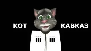 Кот Кавказ   Три в одном 26