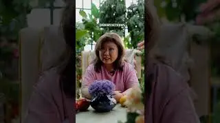 Какие в Армении дыни?