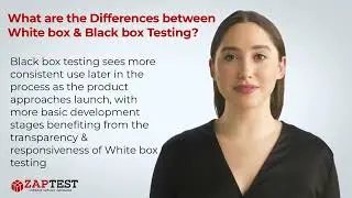 What are the differences between white box and black box Testing