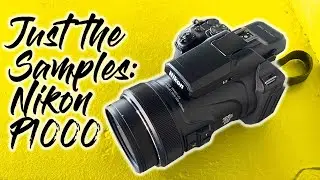 Just the Samples - Nikon P1000