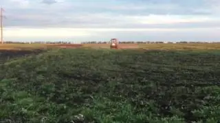 Обработка поля.