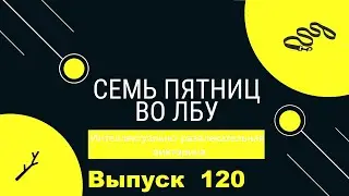 Викторина "Семь пятниц во лбу" квиз выпуск №120