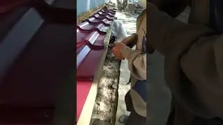 30 августа 2024 г.