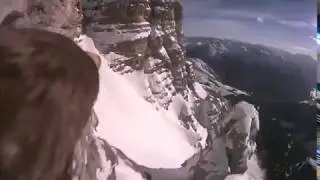 Eagle flying through the Mountains