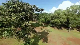 Avata2 Cruising