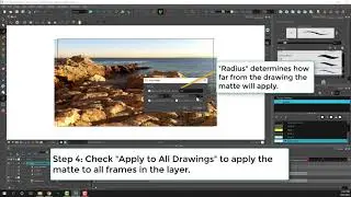 Toon Boom Harmony Automatte Feature