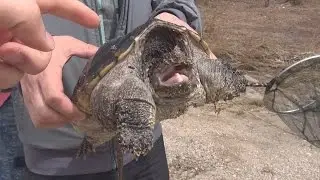 И ты туда же