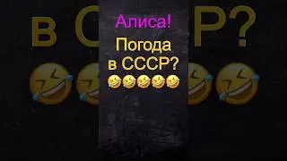 #Алиса