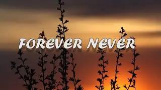 PnB Rock - FOREVER NEVER(Lyrics) ft. Swea Lee, Pink Sweat$