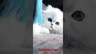 А жизнь продолжается🤗 