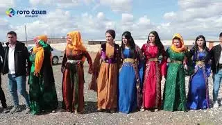 Daweta bawer & Nazdar Gunde Beşo part 2 FOTO ÖZLEM SUNAR