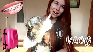 VLOG: Новый Питомец/Сняла брекеты/Собираю чемодан