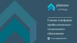 Platonus. РУП. Импорт. Инструкция на русском языке