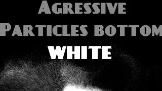 White Agressive Particles Bottom Overlay 60FPS [FREE DOWNLOAD] - Sony Vegas & After Effects