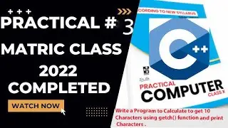C++ getch() Function: The Coolest Way to Get User Input