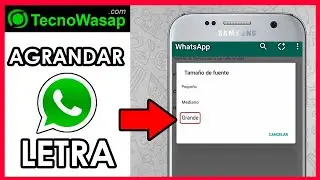 Cómo agrandar la letra de WhatsApp 【2023】