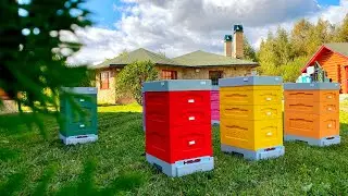 Пчеловодческое Предприятие Лысонь