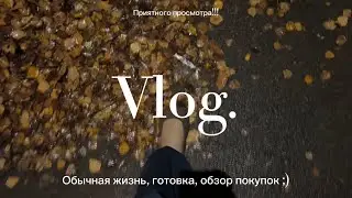 Влог | осень | обычная жизнь | обзор покупок