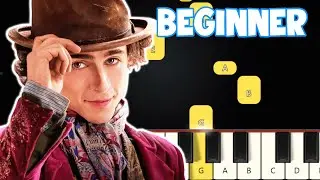 Pure Imagination - Wonka | Beginner Piano Tutorial | Easy Piano