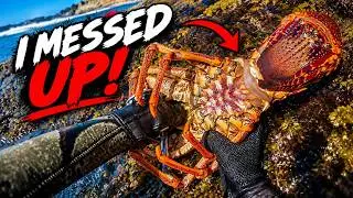 When Lobster Diving Goes Wrong!