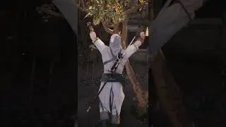 AC Unity Parkour Smooth Sequence