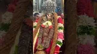 Swamy Ramanujar Utsavam Padiyetham
