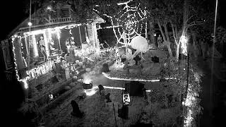 Halloween 2023 Silent Live Stream