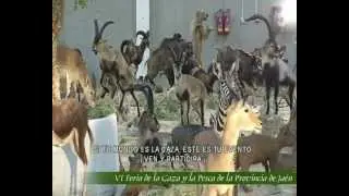 IBERCAZA 2012. VI Feria de la Caza y la Pesca de la provincia de Jaén