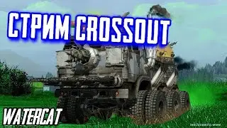 СТРИМ КРОССАУТ!