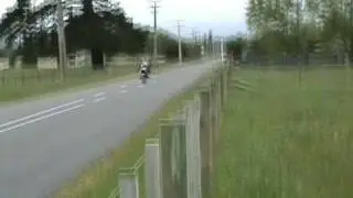 TLR 1000