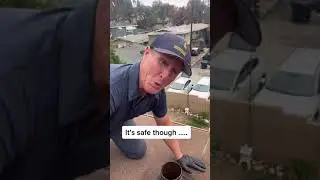 BEST Rat repellent on the Market ….. 🐀💨