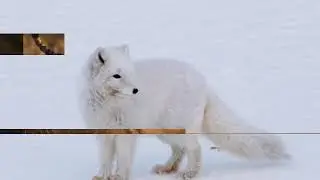 Кто ты по знаку зодиака2•√