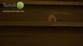 Полоса препятствий