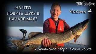 На что ловить щуку в начале мая? Лиепайское озеро 2021. Часть 4.