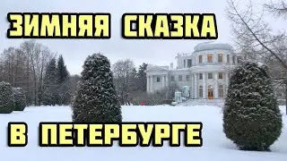 Зимняя сказка | Елагин Остров | Прогулка по Петербургу 2022