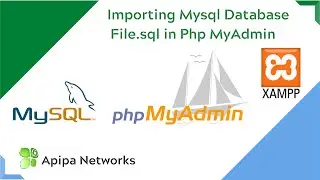 Import MySQL database file from a Developer`s  Source Code to a localhost XAMPP Server PHP MyAdmin