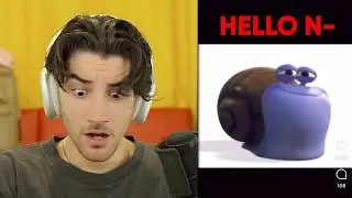 Memes You Sent Me