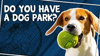 Does Papoose Pond Family Campground Have a Dog Park?