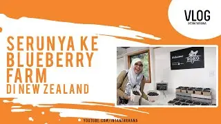 VLOG 45: SERUNYA KE BLUEBERRY FARM DI NEW ZEALAND!! PETIK BLUEBERRY DAN MAKAN ESKRIM SEGER!