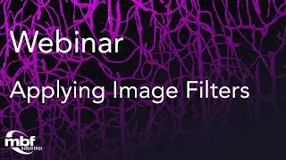Webinar: Applying Image Filters to Improve Reconstruction Accuracy