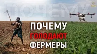 Как Созидательное общество улучшит жизнь фермеров?