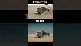 Remove or replace a VIDEO BACKGROUND in SECONDS with Filmora 12 