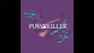 SHALDIN - PUSSY KILLER