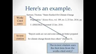 MLA In-Text Citations