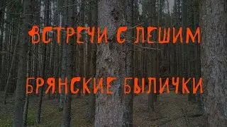 🌲 Жуткие встречи в лесу | Лешие | В. Д. Глебов | Брянские былички | 141–150