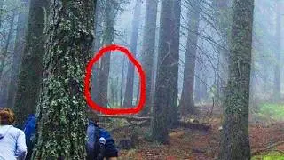 5 ЖУТКИХ СУЩЕСТВ В ЛЕСУ