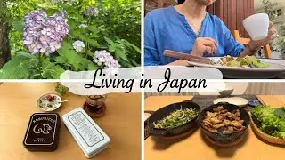 outing to Kamakura for hydrangeas, simple version of Korean BBQ for two | living in japan