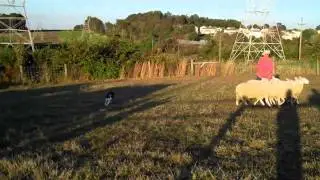 VID00006