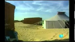 Cuba y Sahara: la solidaridad entre pueblos en resistencia es invisible para los medios